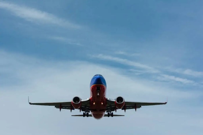 Best budget airlines for domestic flights